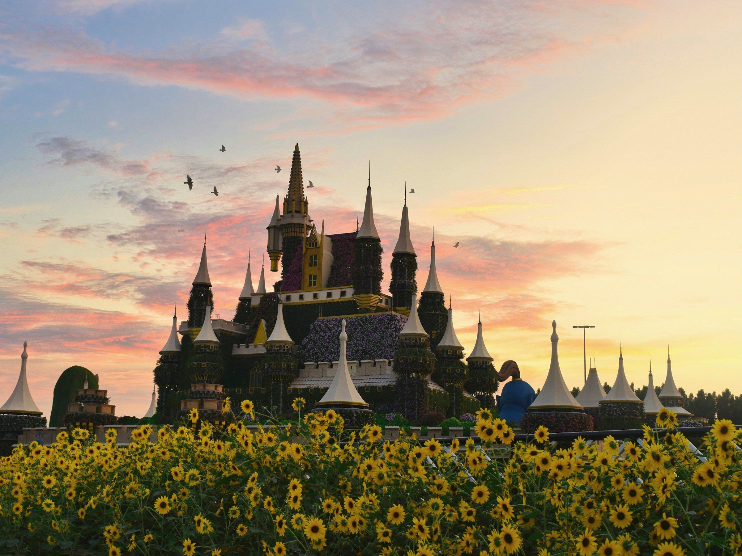 Dubai Miracle Garden в Arjan на закате